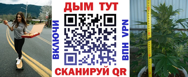 Купить закладки  Среднеуральск  Шишки марихуана THC 21% 